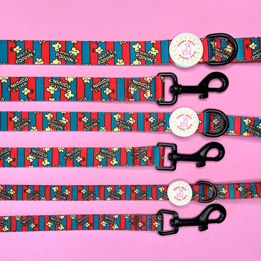 What's Poppin? Dog Leash
