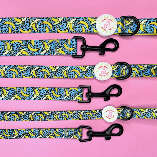 Banan-o-rama Dog Leash