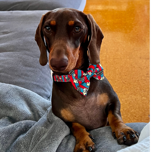 What's Poppin? Dog Bow tie