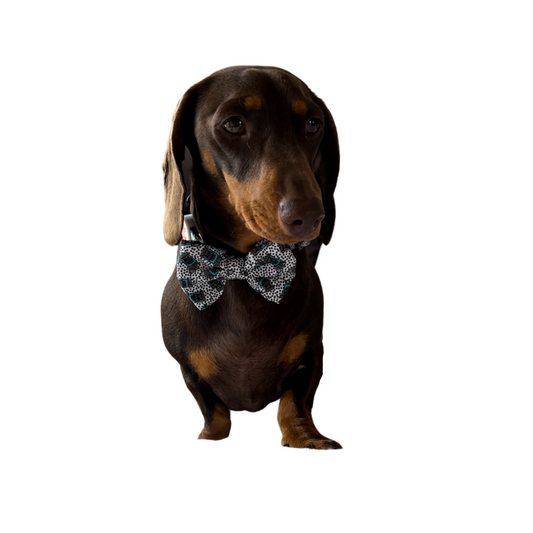Crazy Beans Dog Bow tie