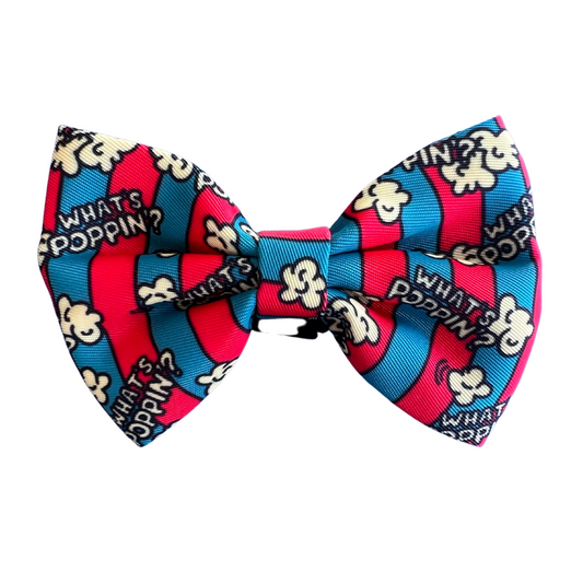 What's Poppin? Dog Bow tie