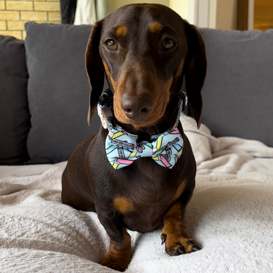 Ice Ice Baby Dog Bow tie