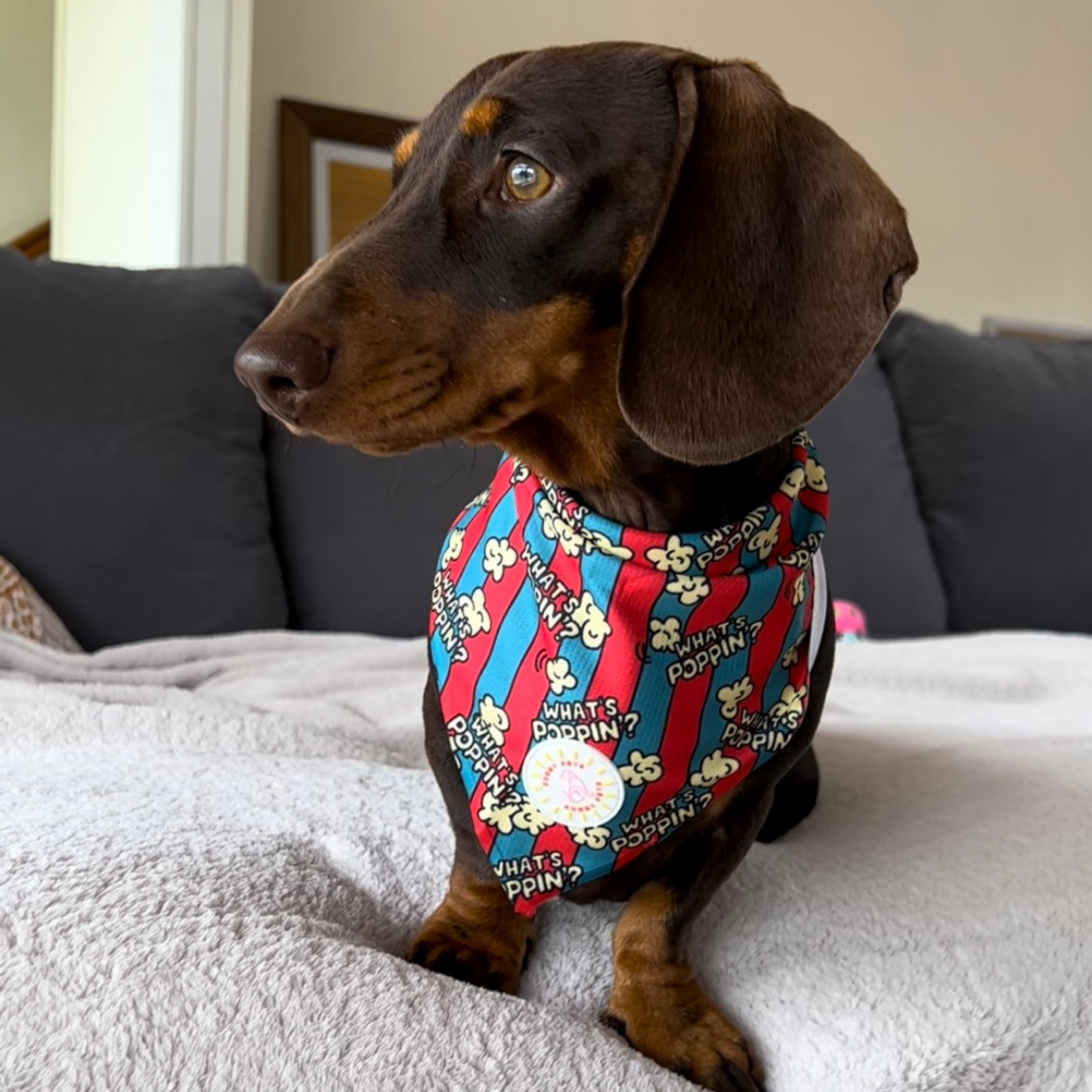 What's Poppin? Dog Bandana
