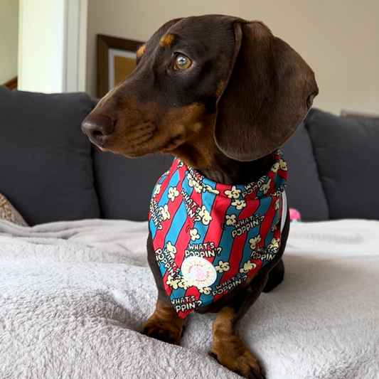 What's Poppin? Dog Bandana