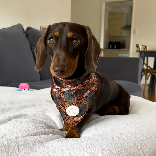 Jungle Fever Dog Bandana