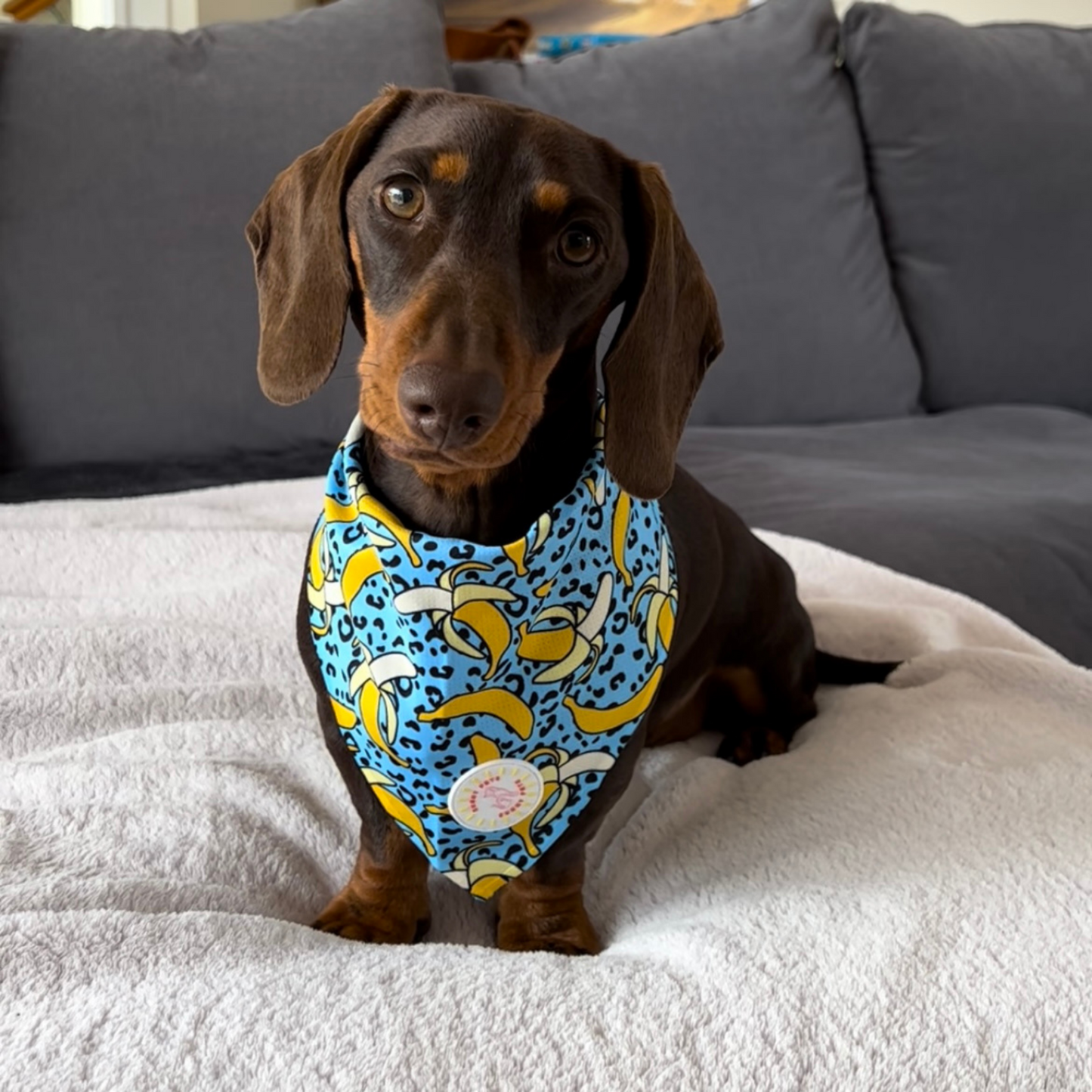Banan-o-rama Dog Bandana