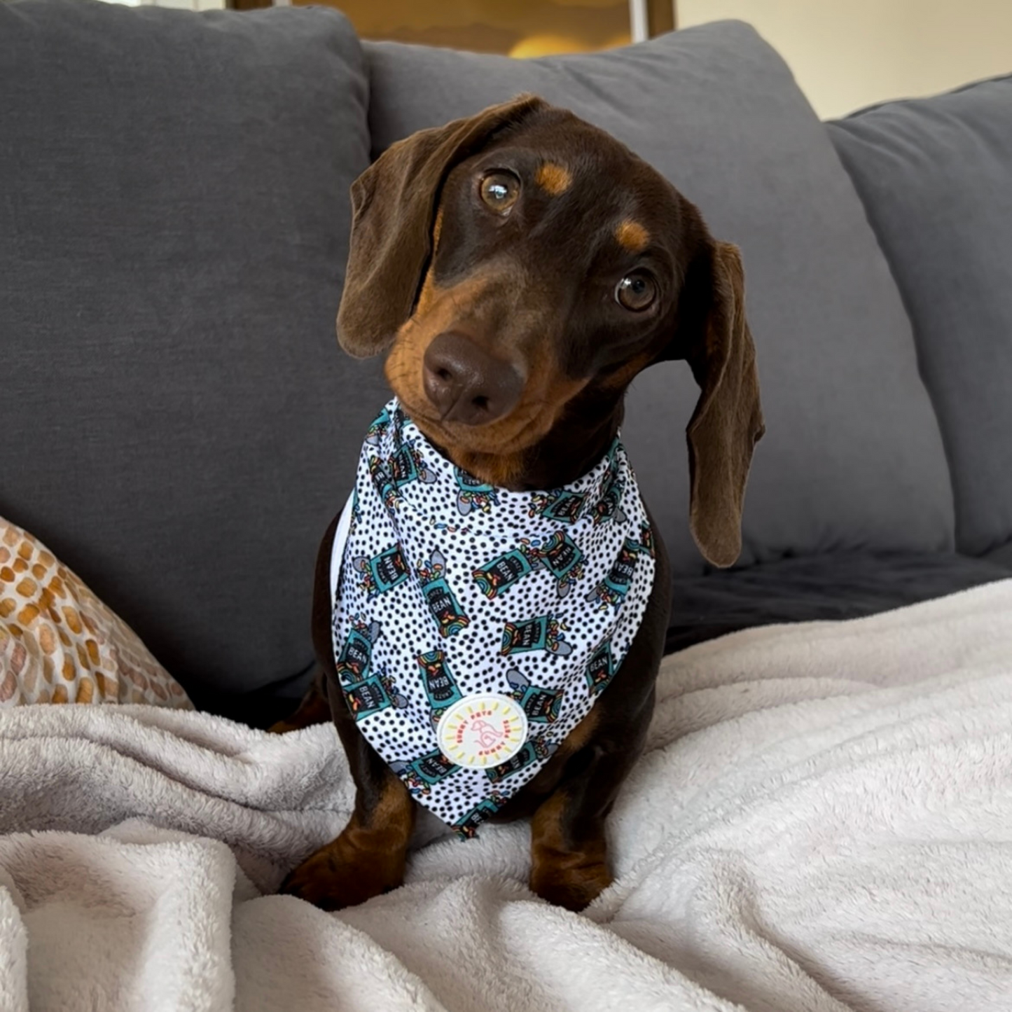 Crazy Beans Dog Bandana