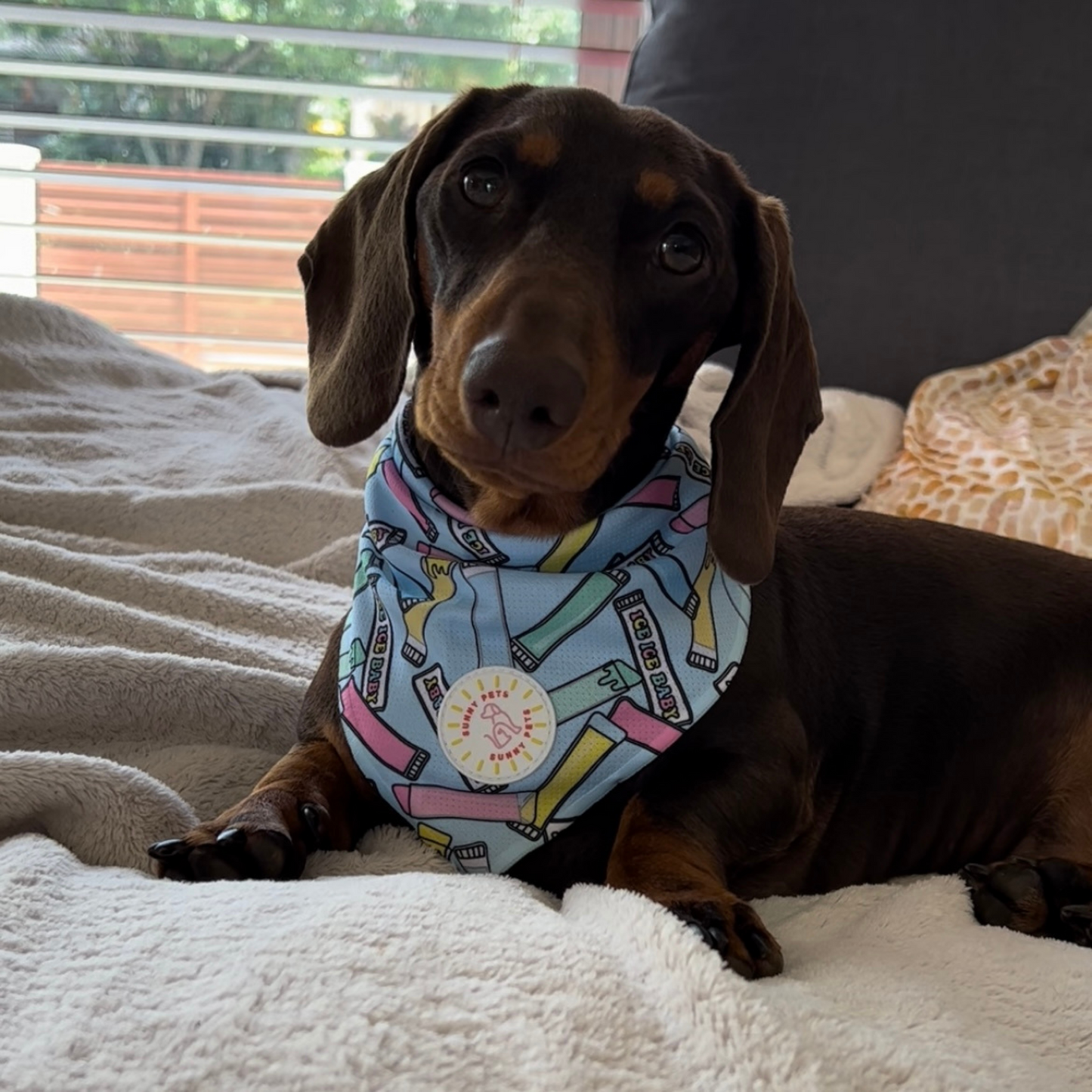 Ice Ice Baby Dog Bandana