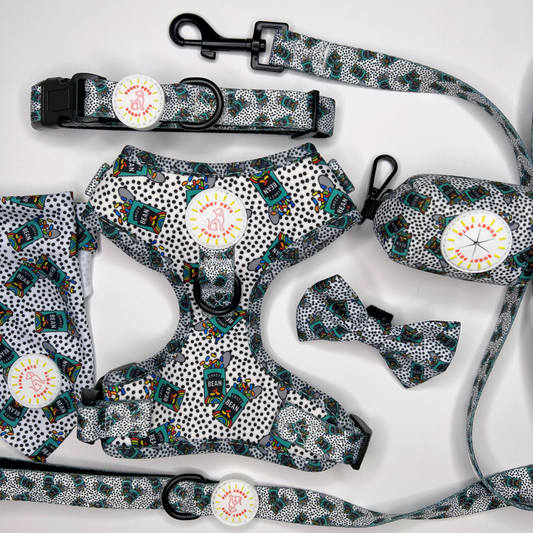 Crazy Beans Ultimate 6 pce Bundle