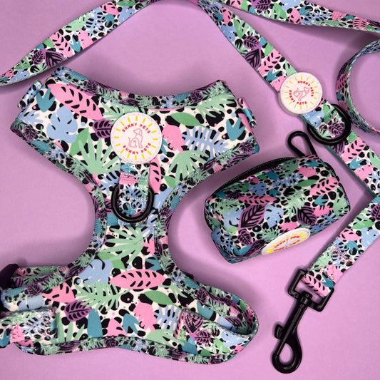 Neon Jungle 3 pce Harness Bundle
