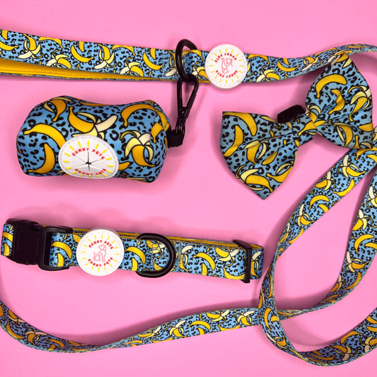 Bananorama 4 pce Collar Bundle