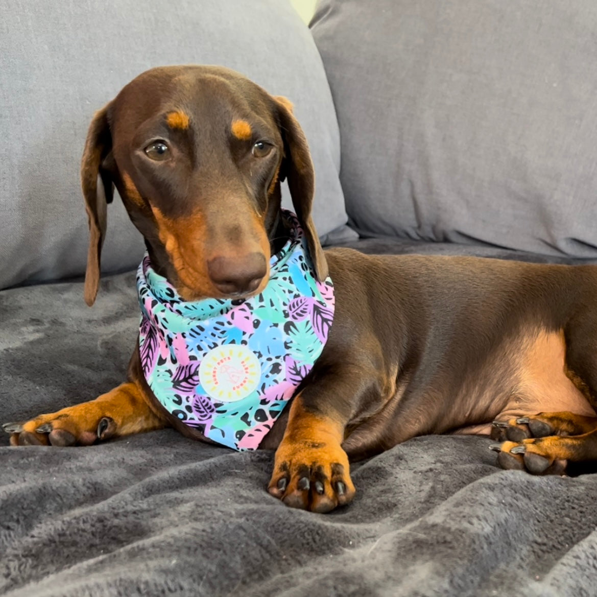 Neon Jungle Dog Bandana