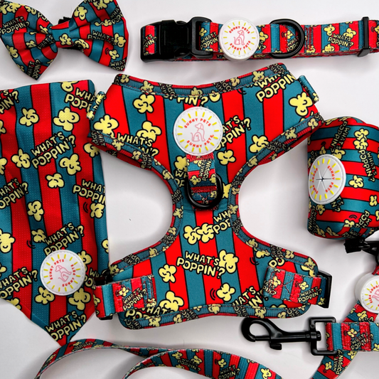 What’s Poppin? Ultimate 6 pce Bundle