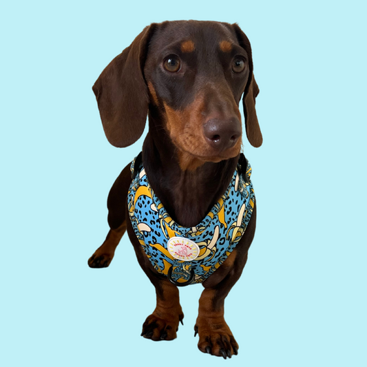 Banan-o-rama Adjustable Dog Harness