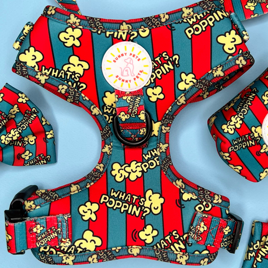 What's Poppin? Adjustable Dog Harness