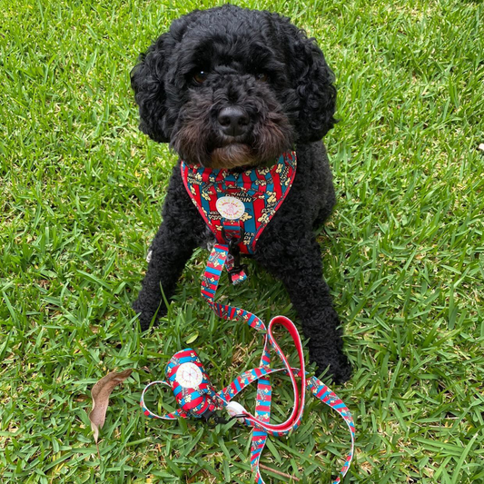 What’s Poppin? Ultimate 6 pce Bundle