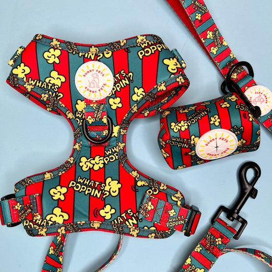 What's Poppin 3 pce Harness Bundle