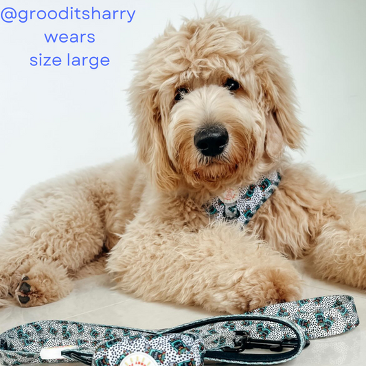 Crazy Beans Ultimate 6 pce Bundle