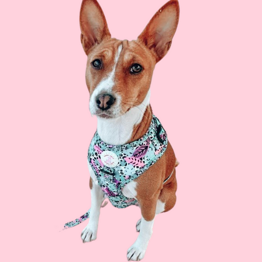 Neon Jungle Adjustable Dog Harness