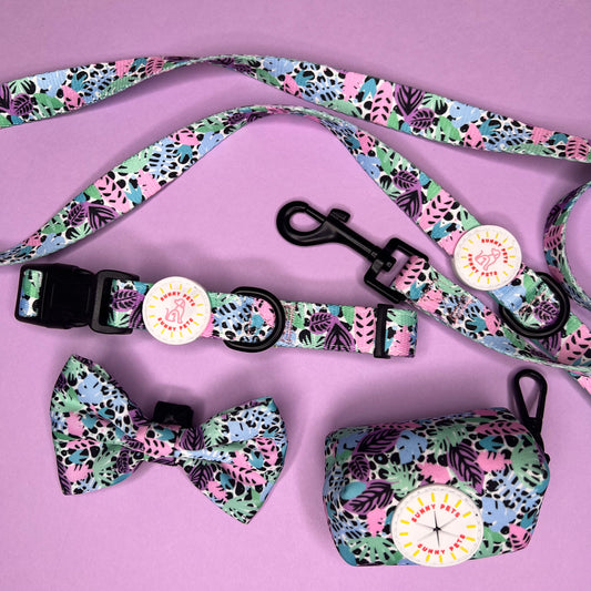 Neon Jungle 4 pce Collar Bundle