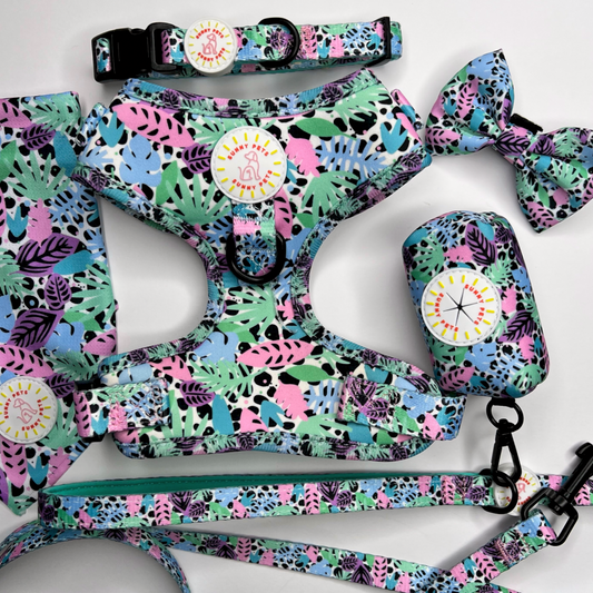 Neon Jungle Ultimate 6 pce Bundle