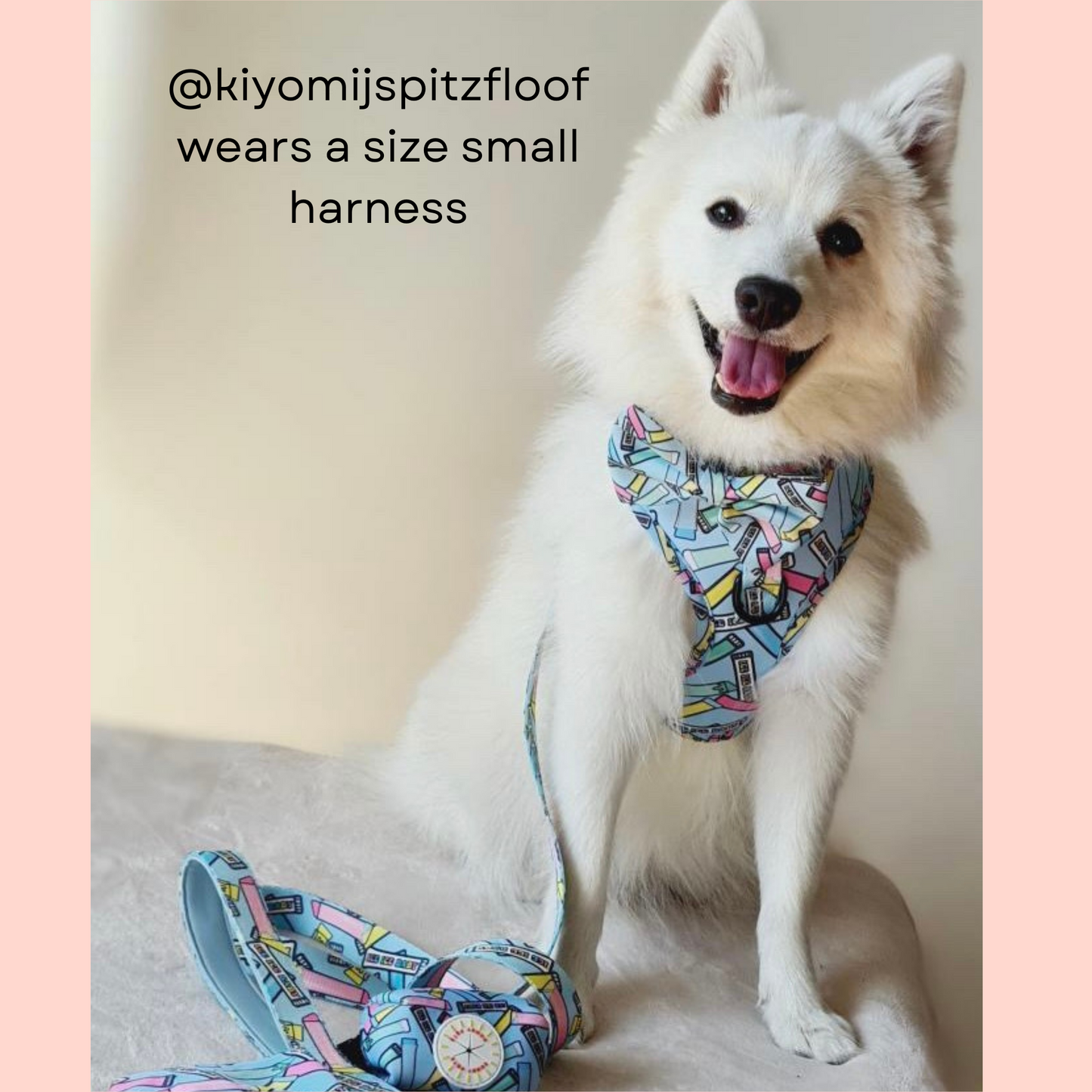 Ice Ice Baby 3 pce Harness Bundle