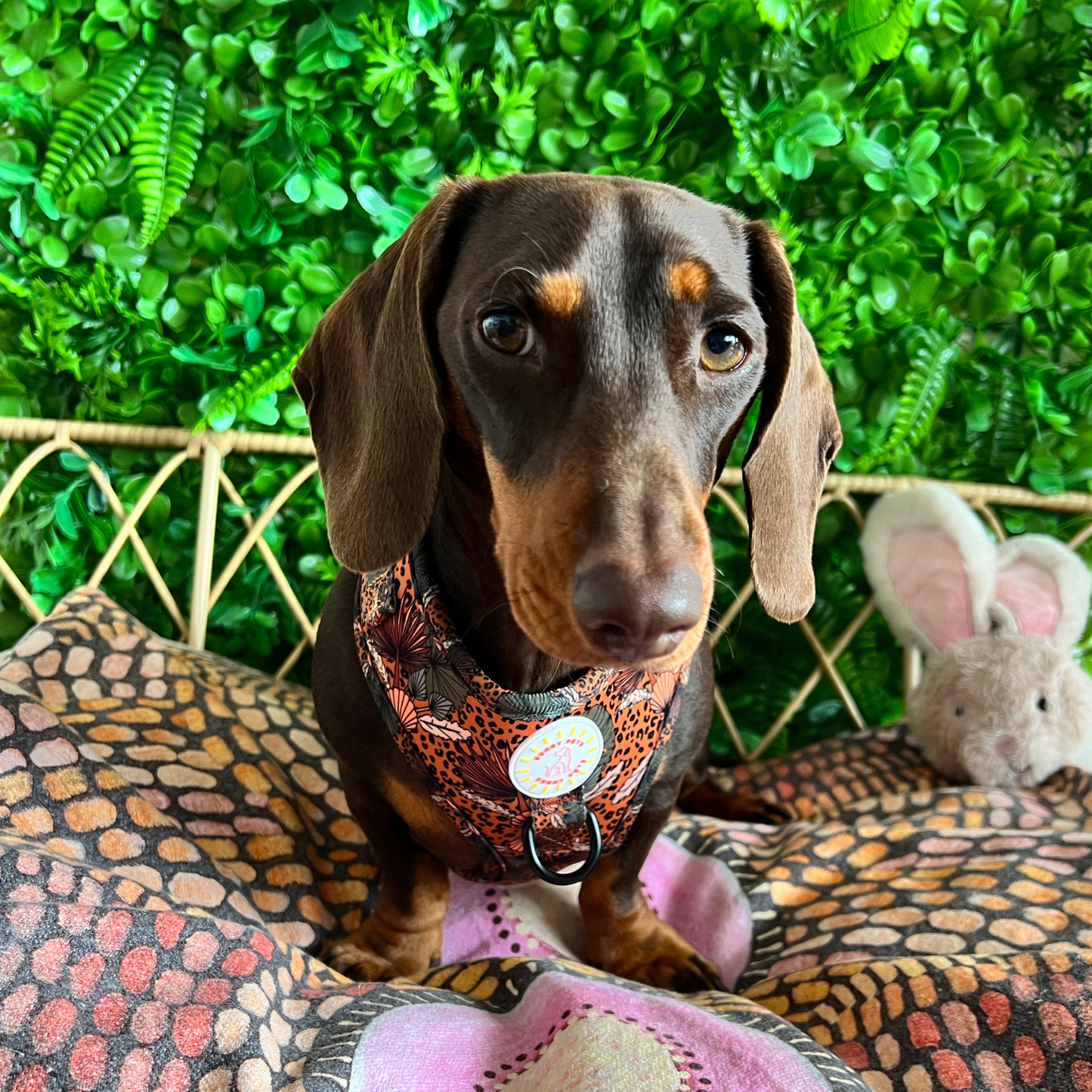Jungle Fever Adjustable Dog Harness