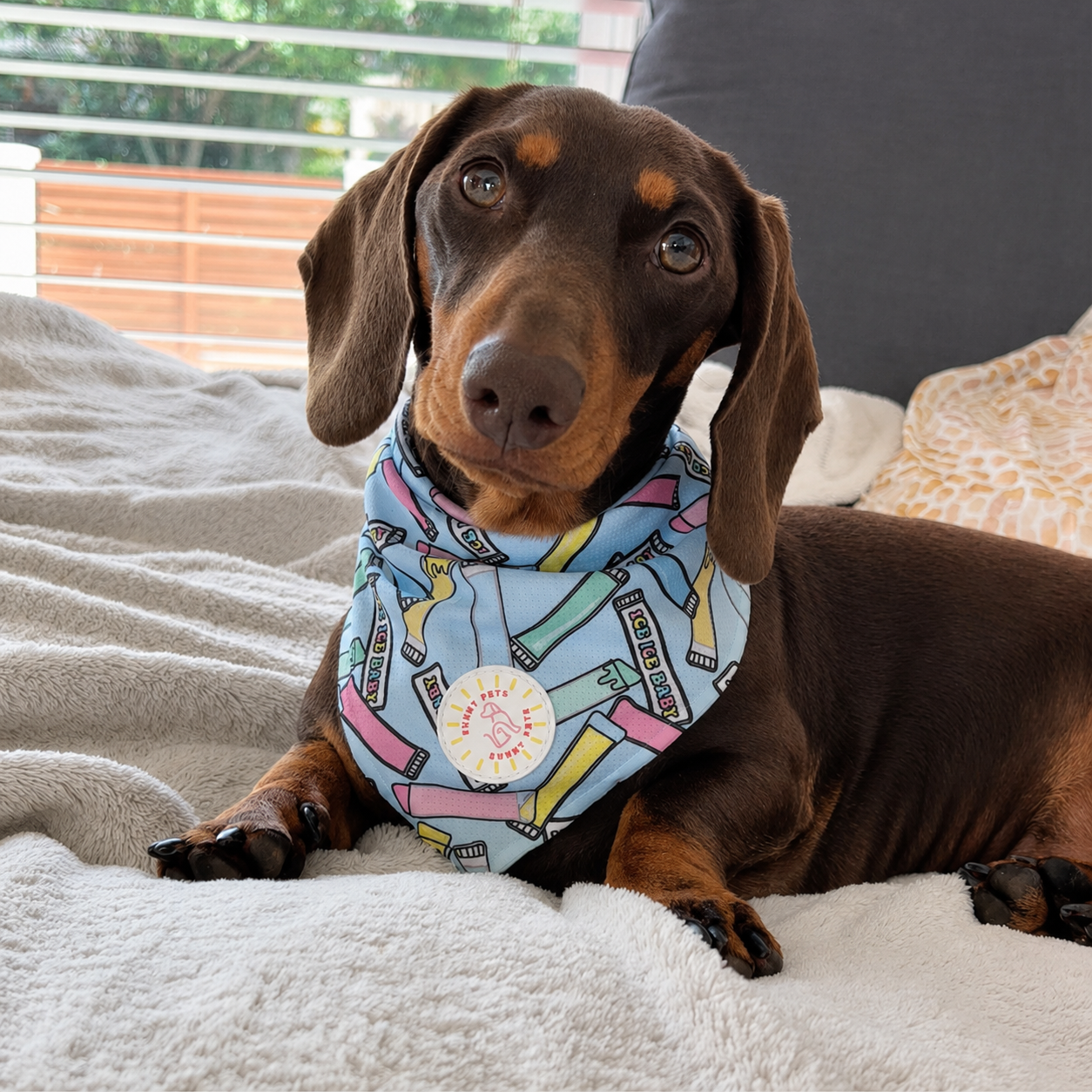 Ice Ice Baby Dog Bandana