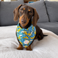 Banan-o-rama Dog Bandana
