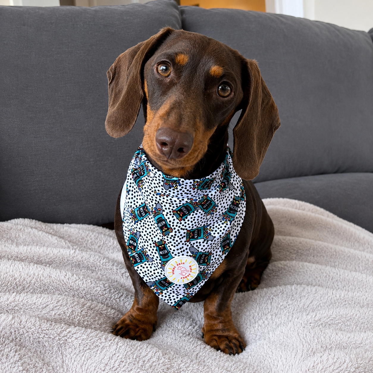 Crazy Beans Dog Bandana