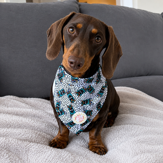 Crazy Beans Dog Bandana