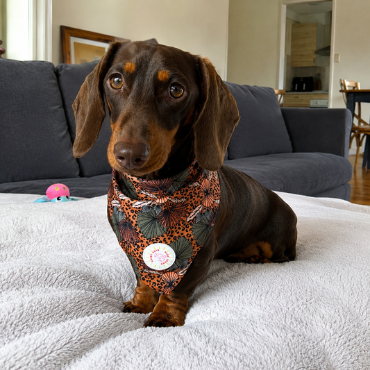 Jungle Fever Dog Bandana