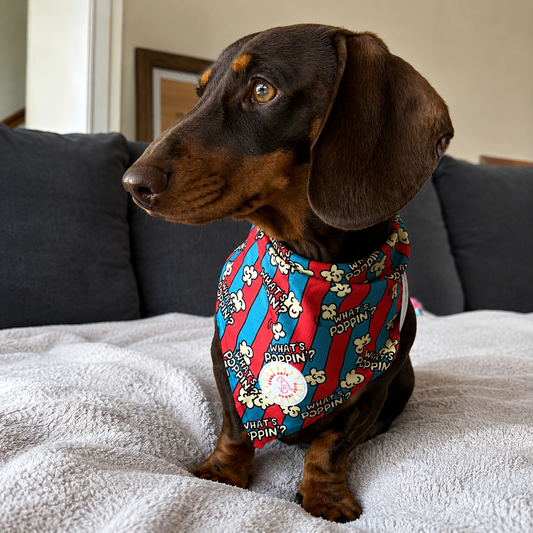 What's Poppin? Dog Bandana