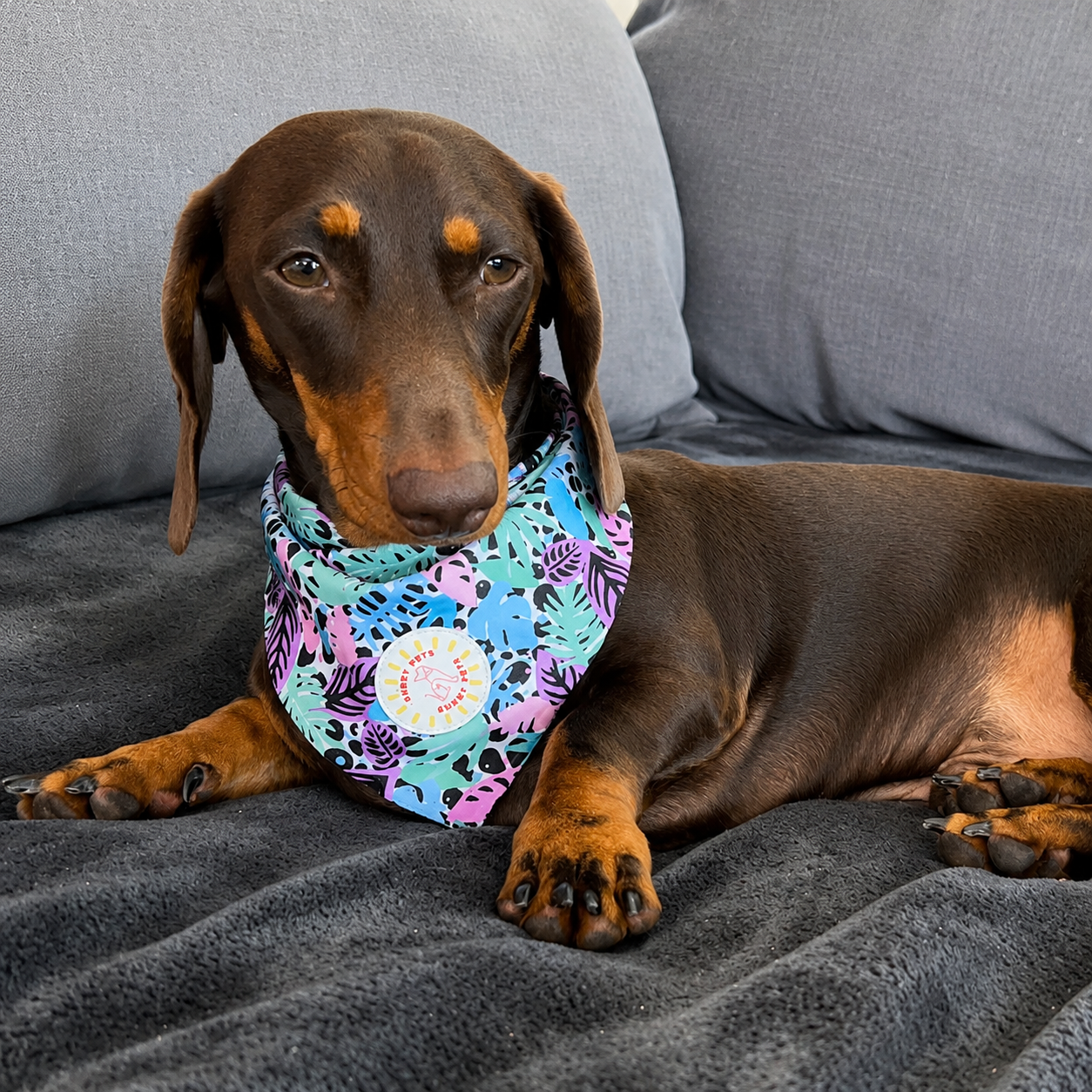 Neon Jungle Dog Bandana