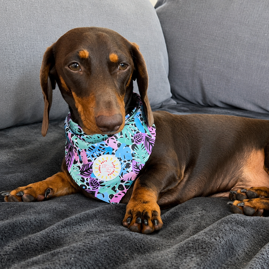 Neon Jungle Dog Bandana