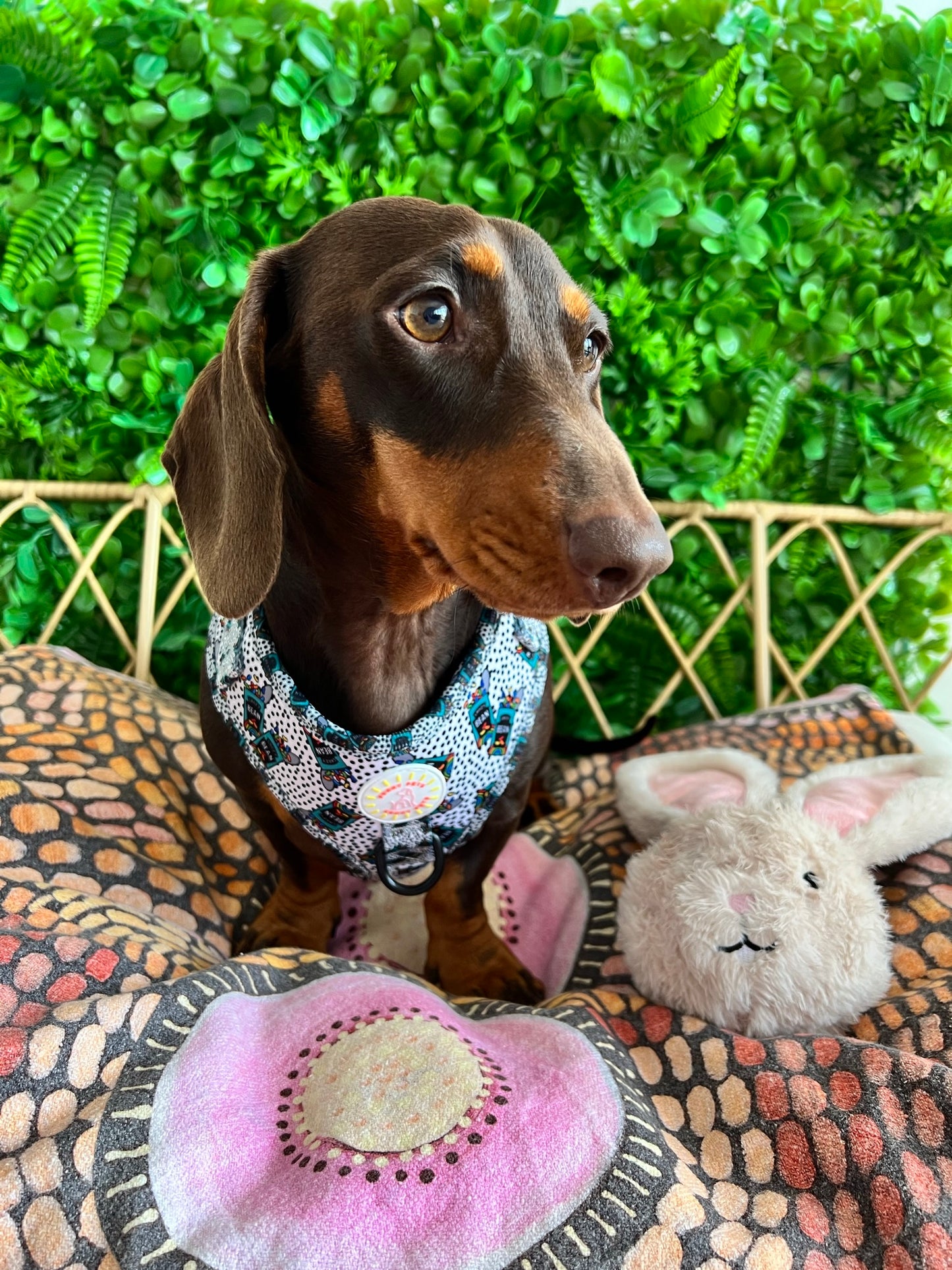 Crazy Beans Adjustable Dog Harness