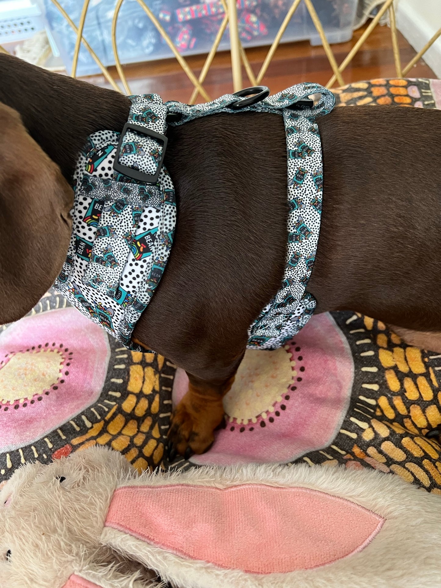 Crazy Beans Adjustable Dog Harness