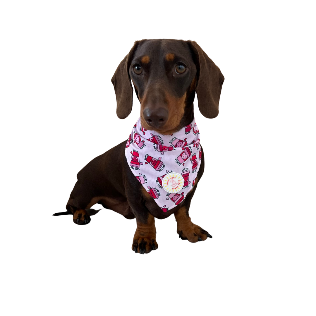 Love you a Latte Bandana