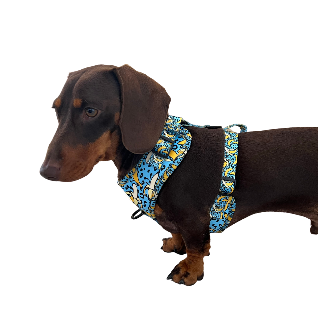 Banan-o-rama Adjustable Dog Harness