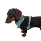 Banan-o-rama Adjustable Dog Harness