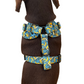 Banan-o-rama Adjustable Dog Harness