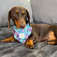 Neon Jungle Dog Bandana