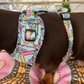 Ice Ice Baby Adjustable Dog Harness